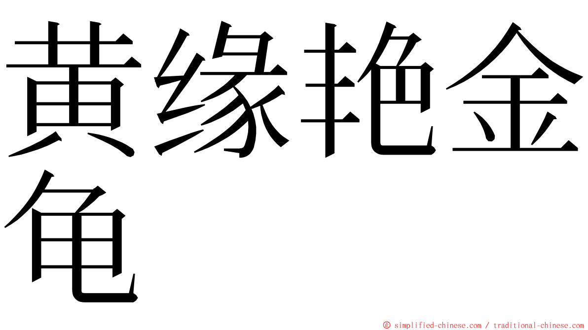 黄缘艳金龟 ming font