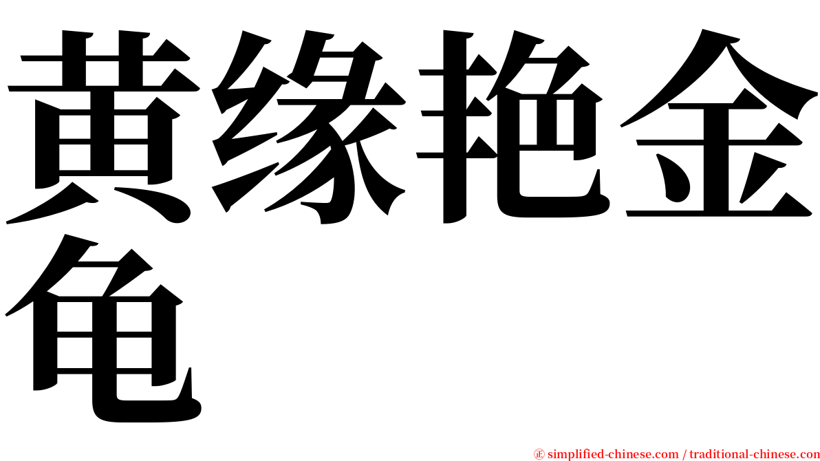 黄缘艳金龟 serif font