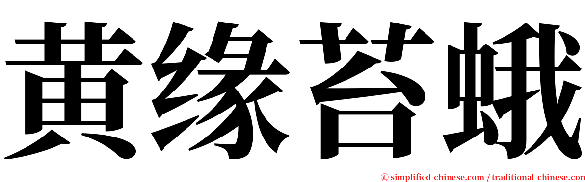 黄缘苔蛾 serif font