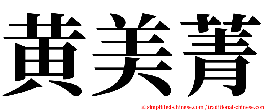 黄美菁 serif font