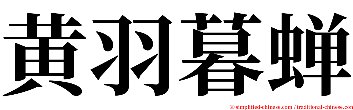 黄羽暮蝉 serif font