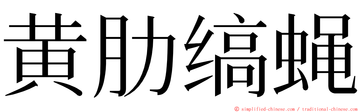 黄肋缟蝇 ming font