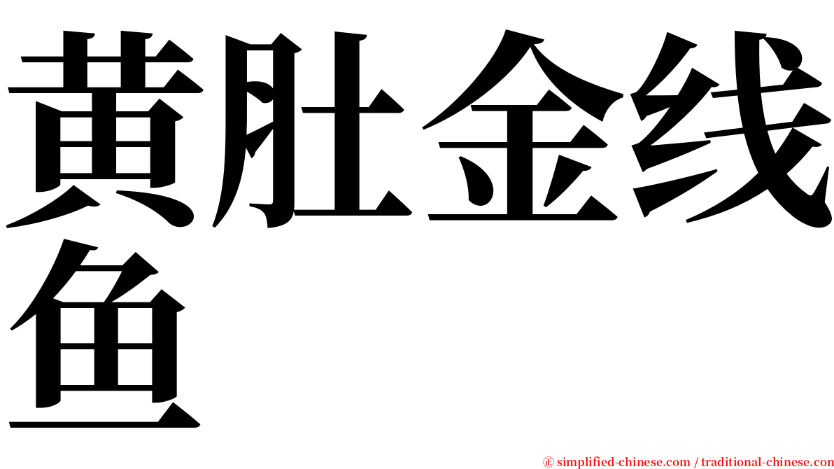 黄肚金线鱼 serif font