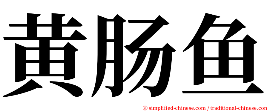 黄肠鱼 serif font