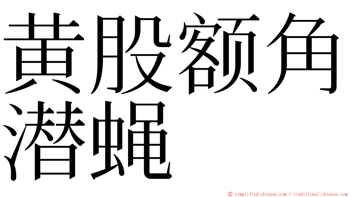 黄股额角潜蝇 ming font