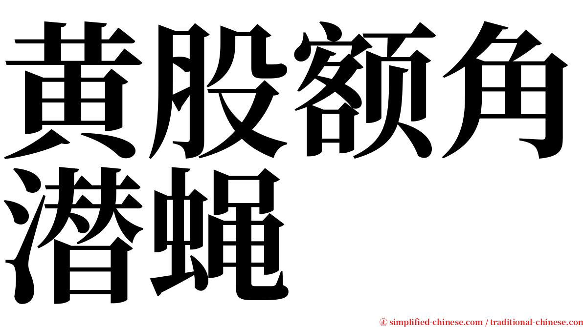 黄股额角潜蝇 serif font