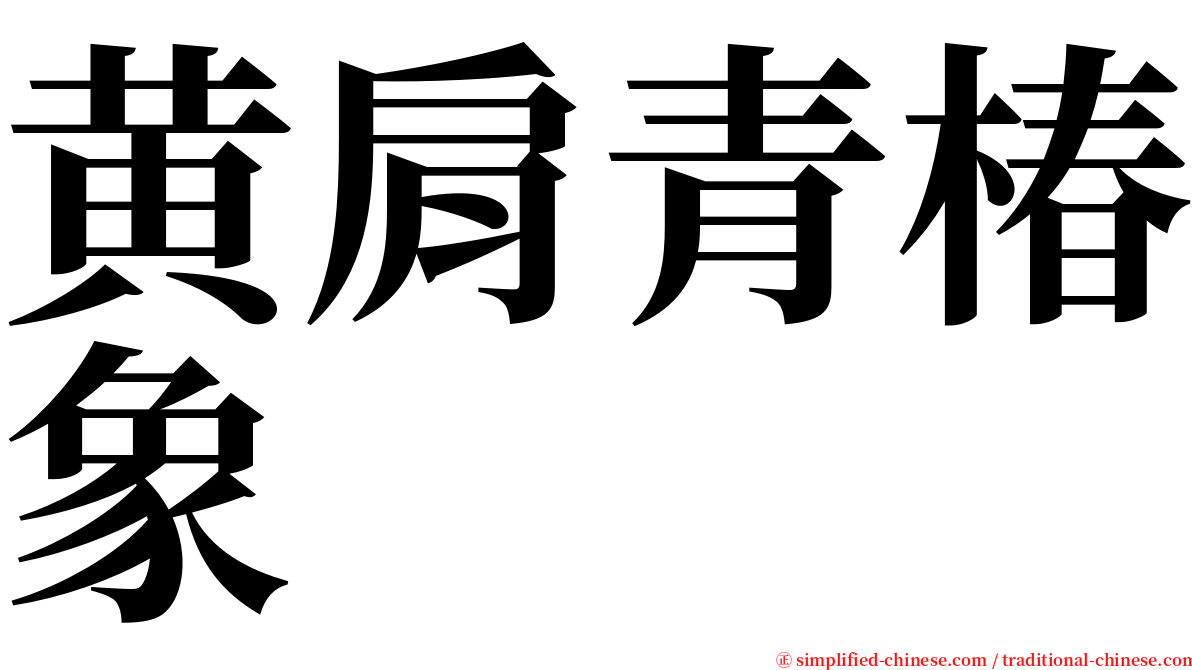 黄肩青椿象 serif font