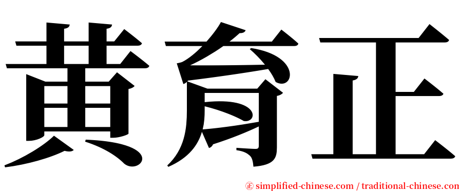 黄育正 serif font