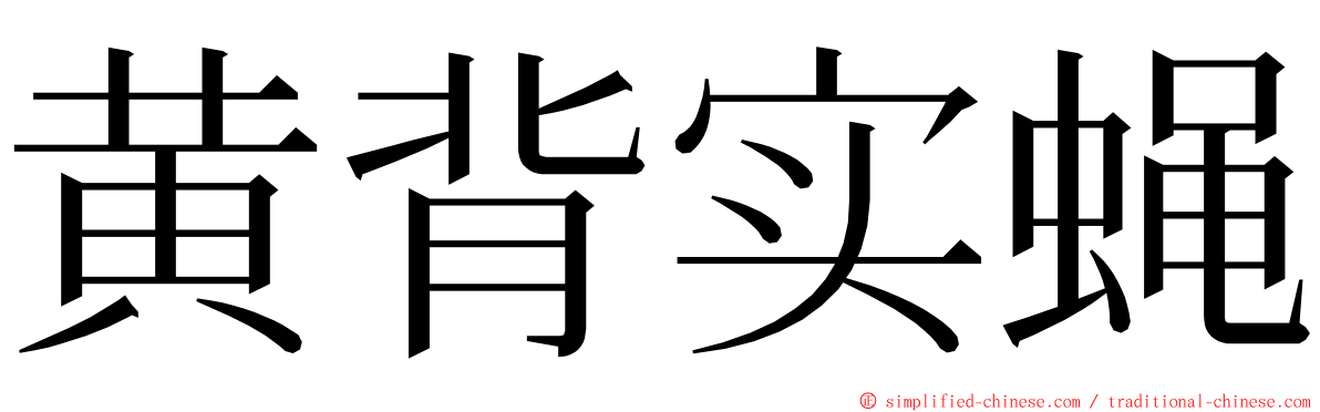 黄背实蝇 ming font