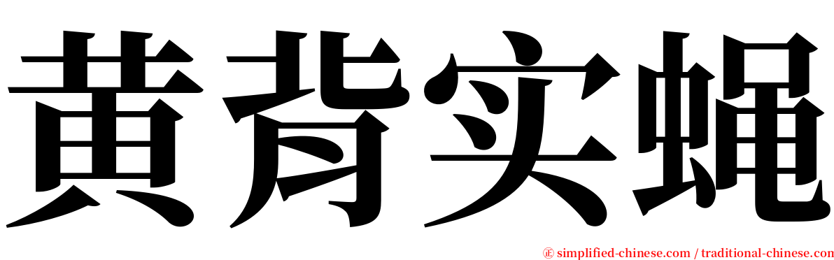 黄背实蝇 serif font