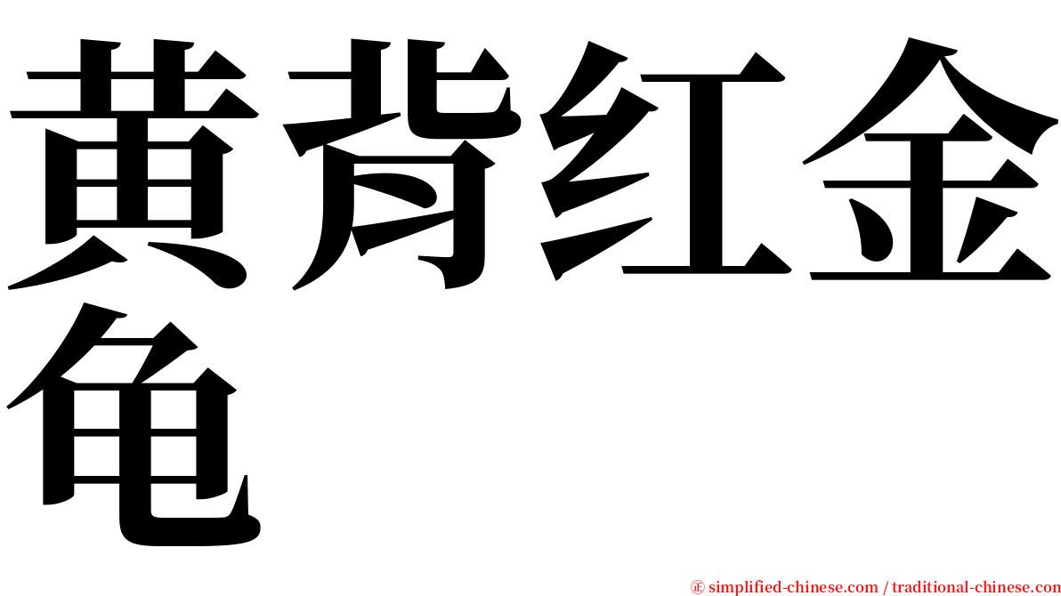 黄背红金龟 serif font