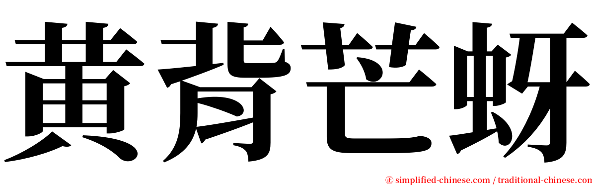 黄背芒蚜 serif font