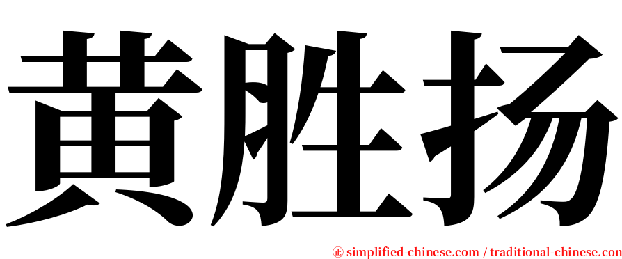 黄胜扬 serif font