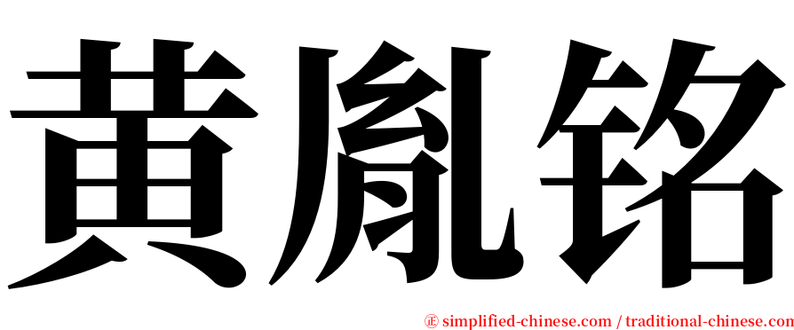 黄胤铭 serif font