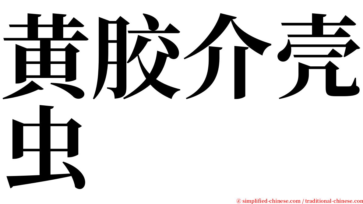 黄胶介壳虫 serif font