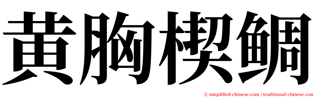 黄胸楔鲷 serif font