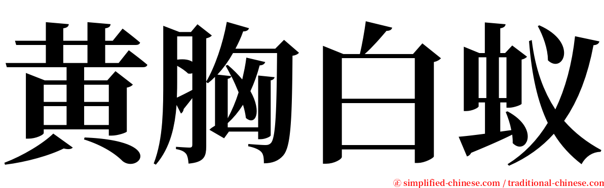 黄胸白蚁 serif font