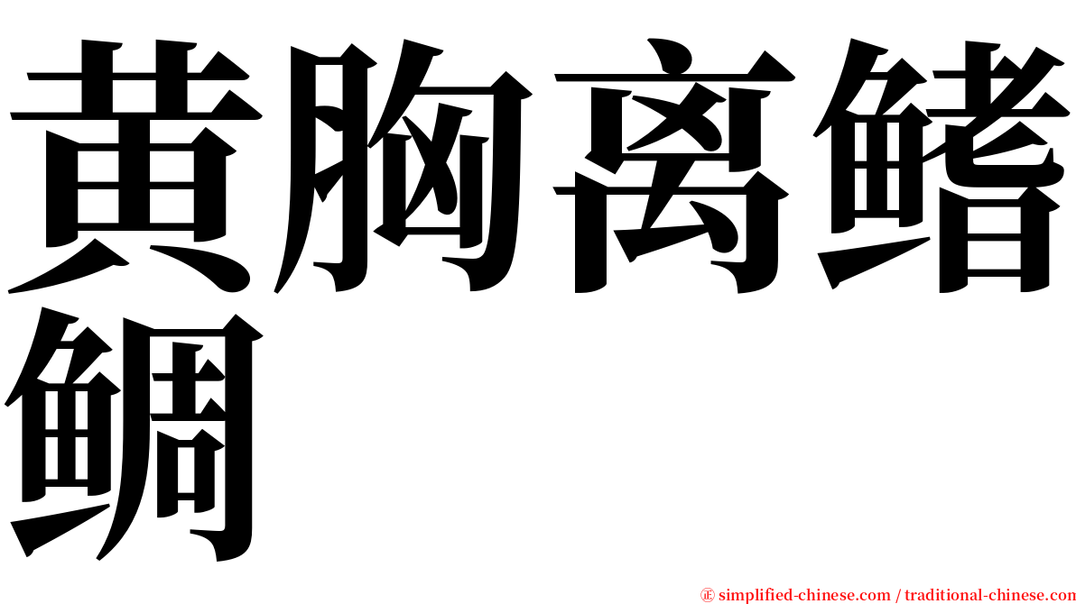 黄胸离鳍鲷 serif font