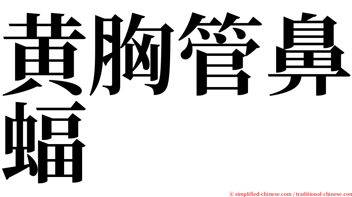 黄胸管鼻蝠 serif font