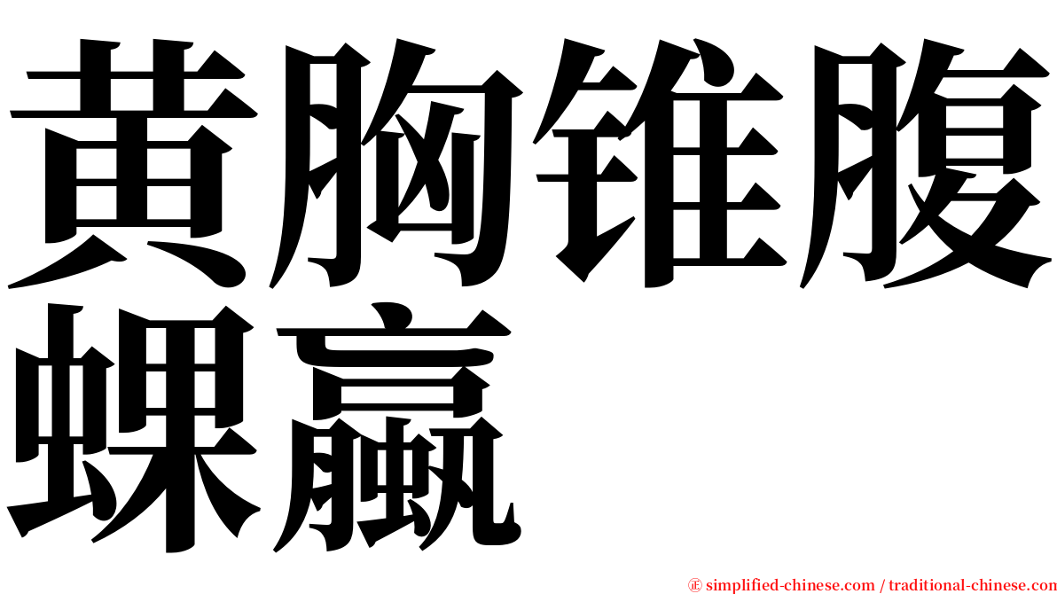 黄胸锥腹蜾蠃 serif font