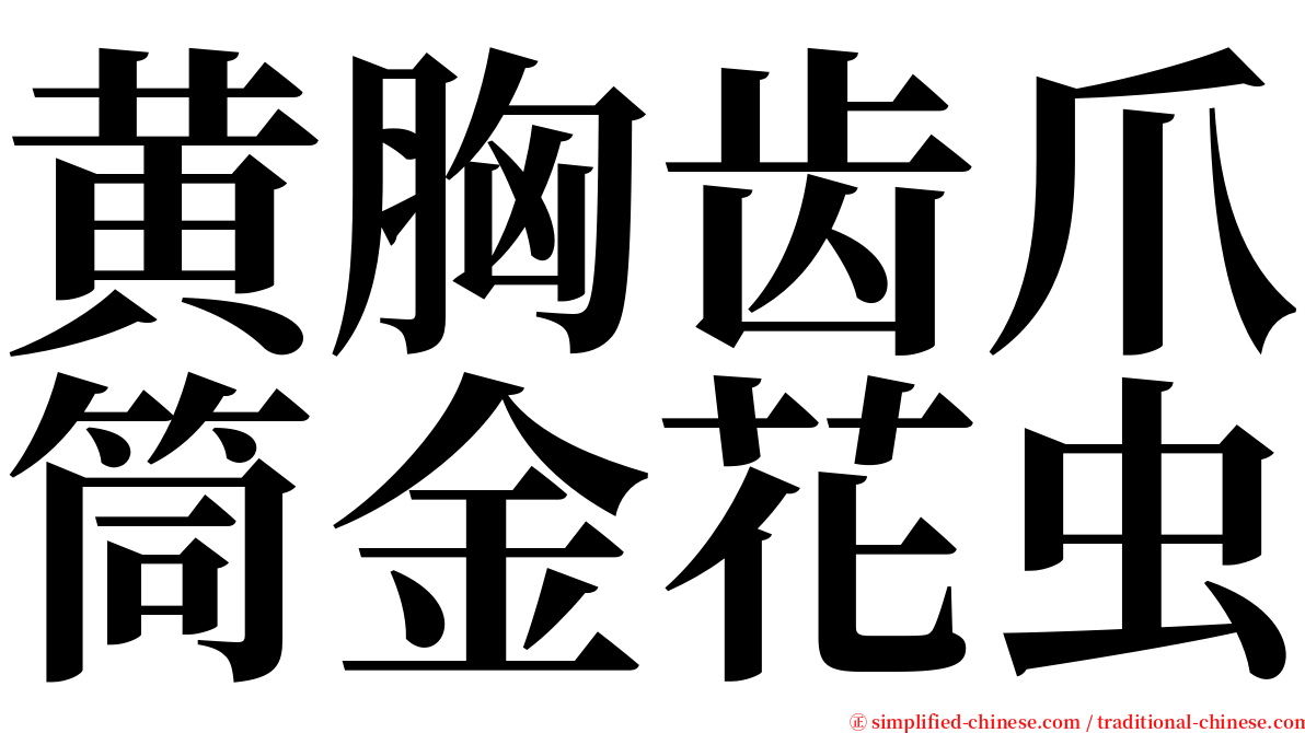 黄胸齿爪筒金花虫 serif font