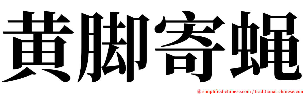 黄脚寄蝇 serif font