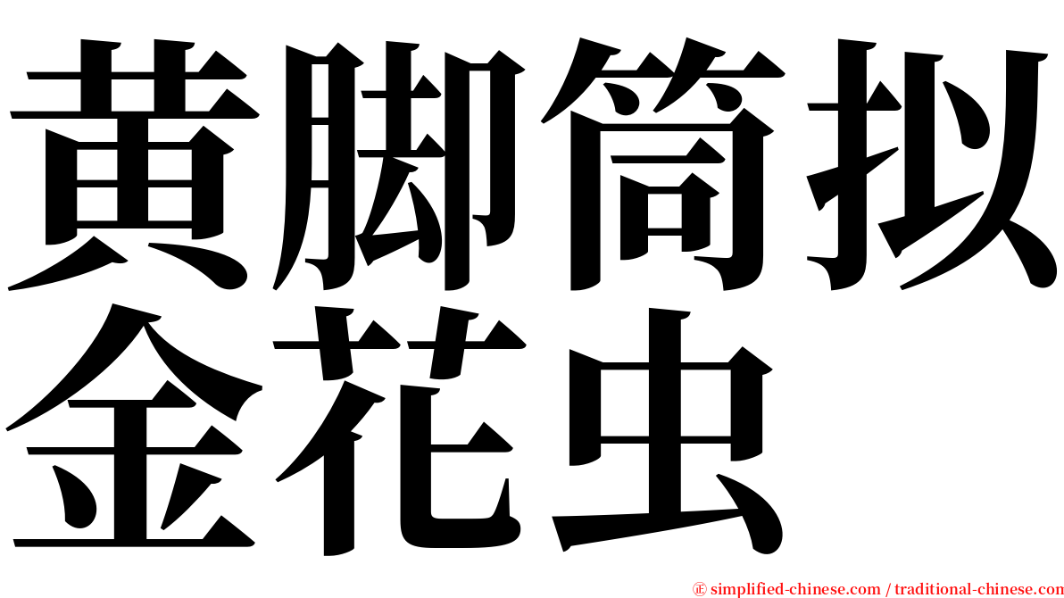 黄脚筒拟金花虫 serif font