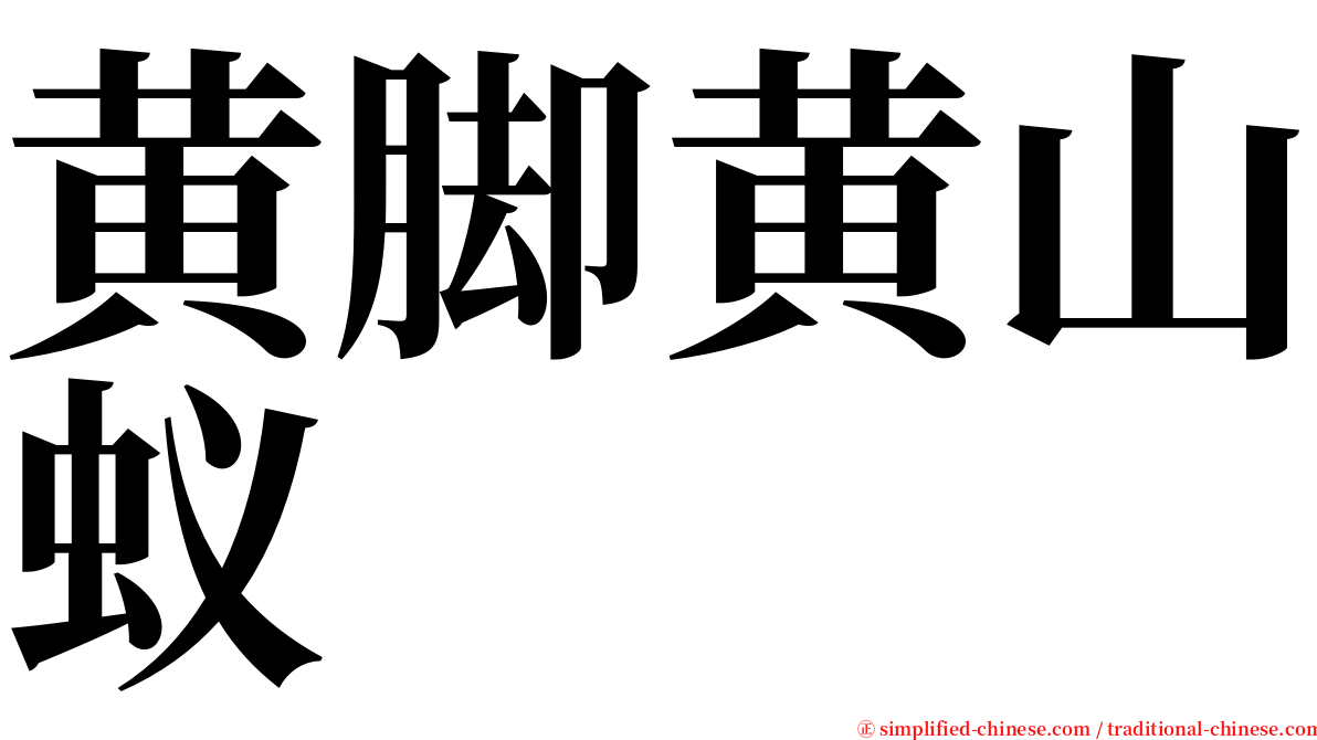 黄脚黄山蚁 serif font