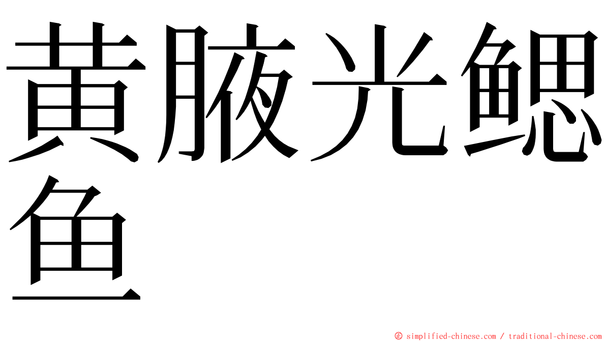 黄腋光鳃鱼 ming font