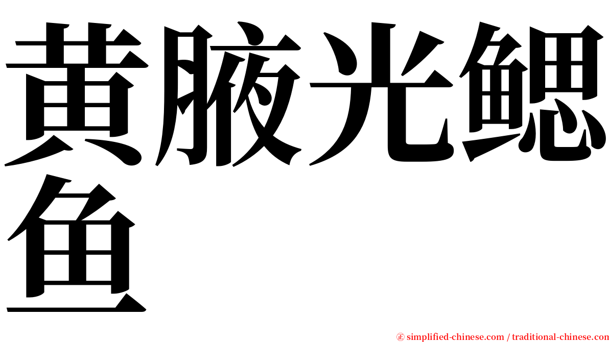 黄腋光鳃鱼 serif font