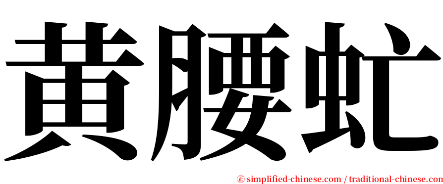 黄腰虻 serif font