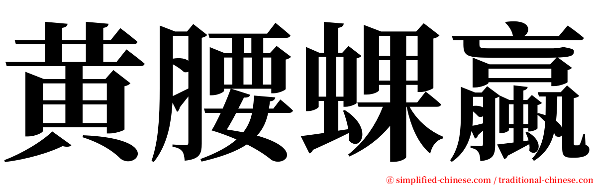 黄腰蜾蠃 serif font