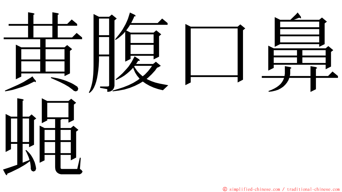 黄腹口鼻蝇 ming font