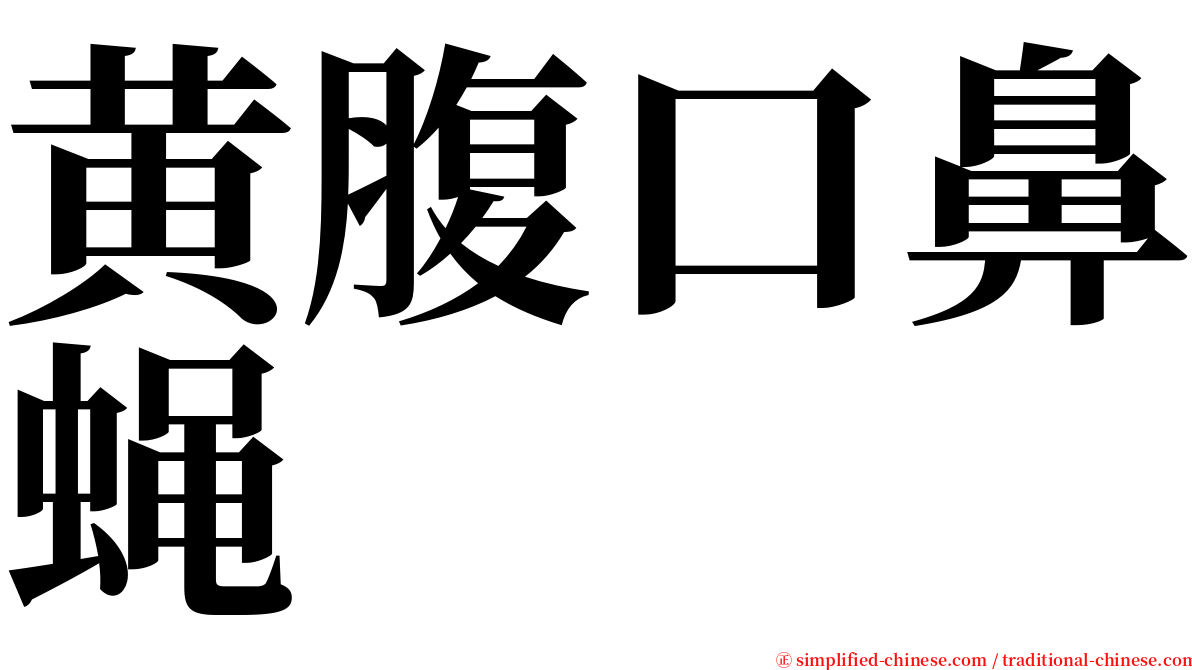 黄腹口鼻蝇 serif font