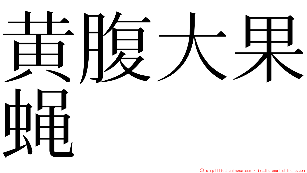 黄腹大果蝇 ming font