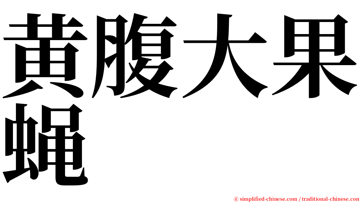 黄腹大果蝇 serif font