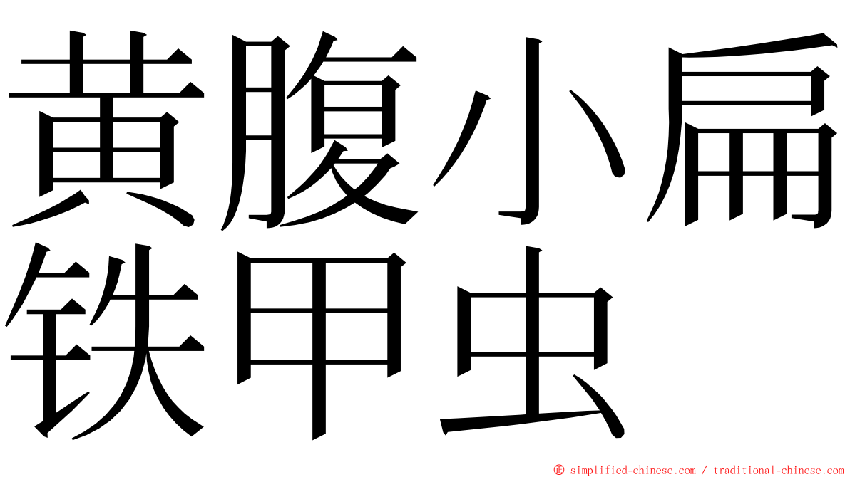 黄腹小扁铁甲虫 ming font