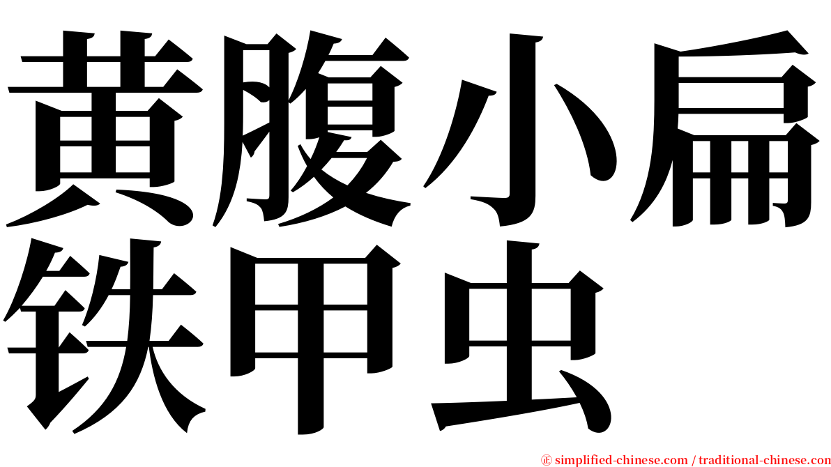 黄腹小扁铁甲虫 serif font