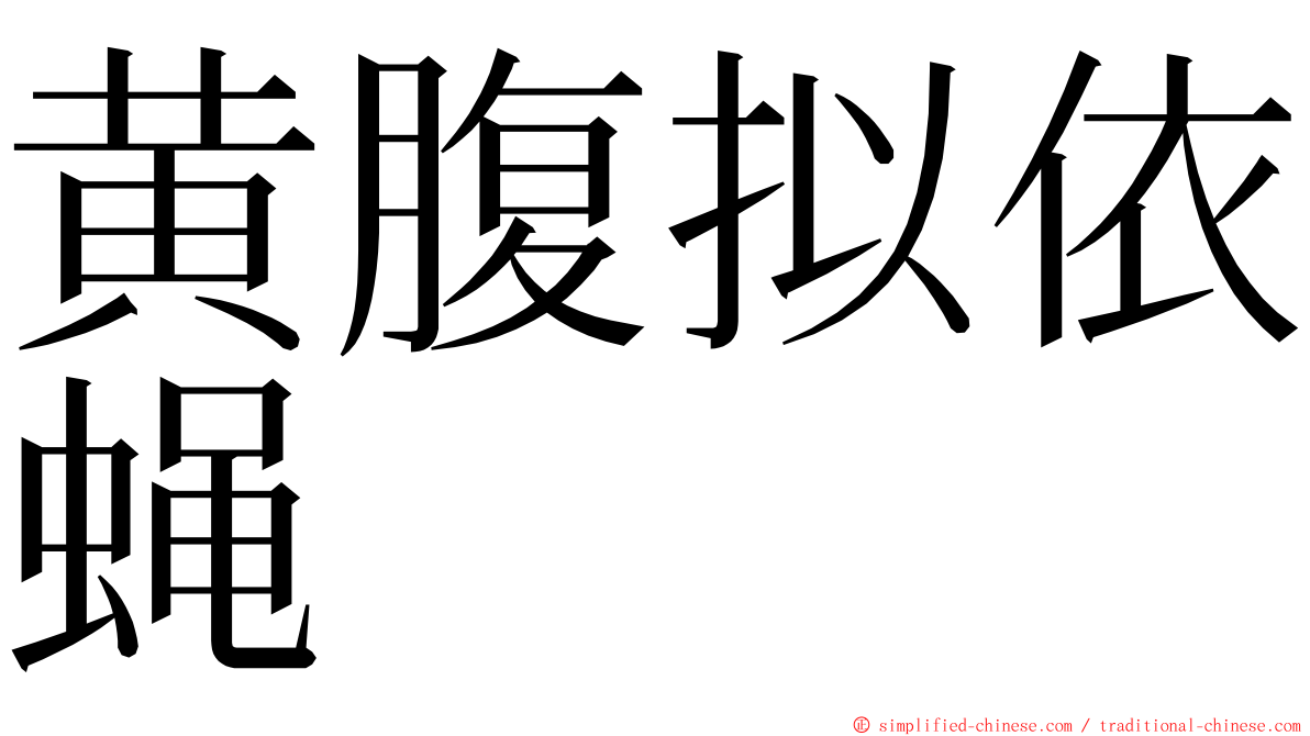 黄腹拟依蝇 ming font