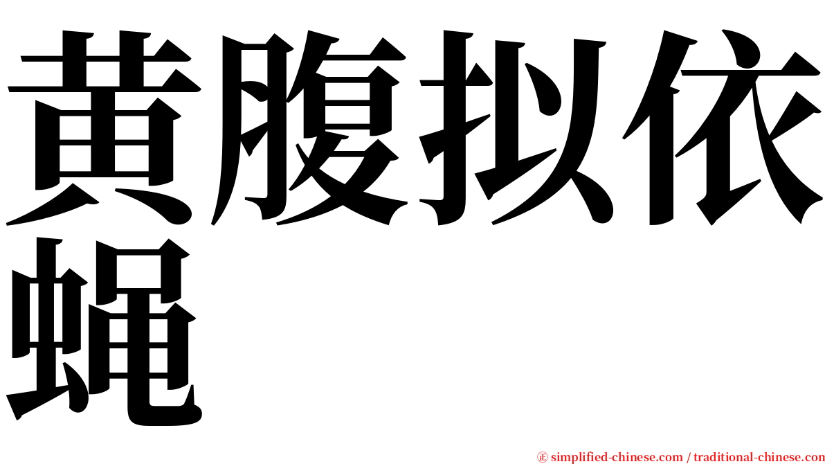 黄腹拟依蝇 serif font