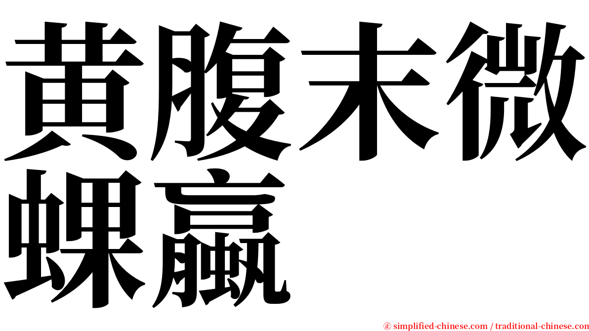 黄腹末微蜾蠃 serif font