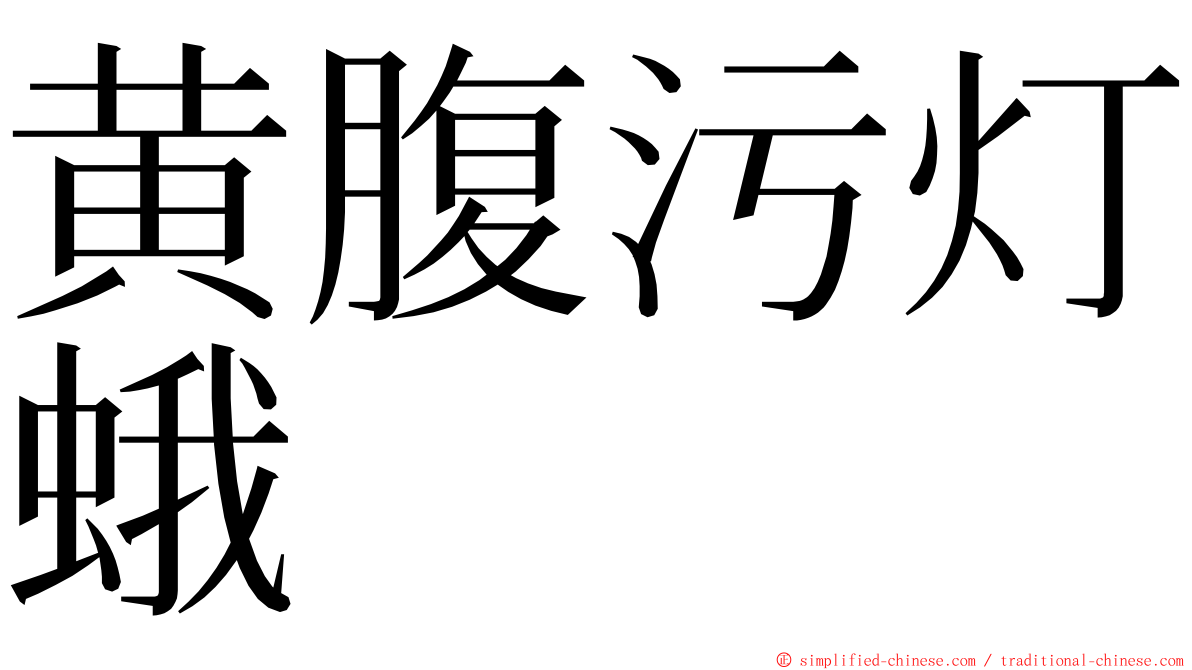 黄腹污灯蛾 ming font