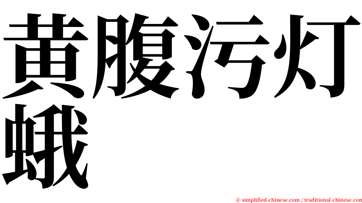 黄腹污灯蛾 serif font