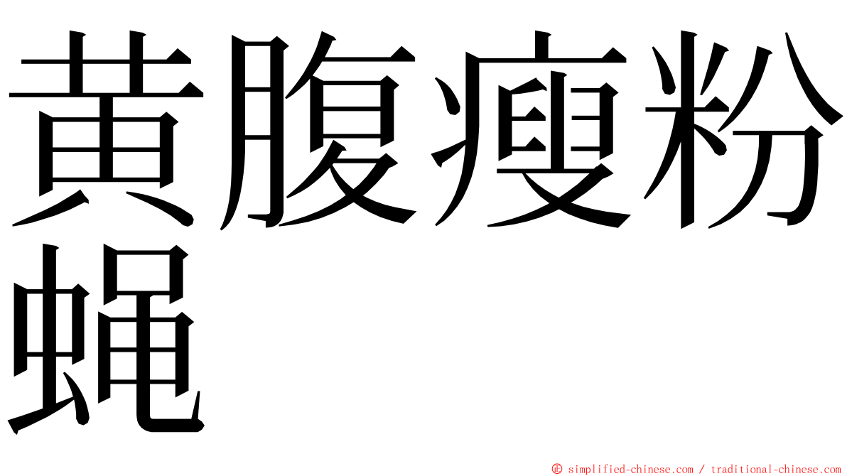 黄腹瘦粉蝇 ming font