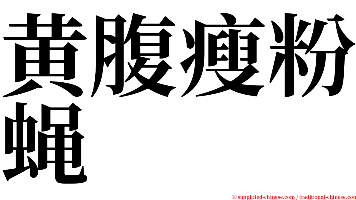 黄腹瘦粉蝇 serif font