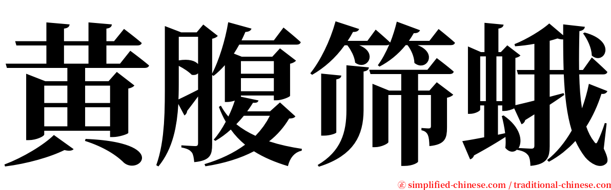 黄腹筛蛾 serif font