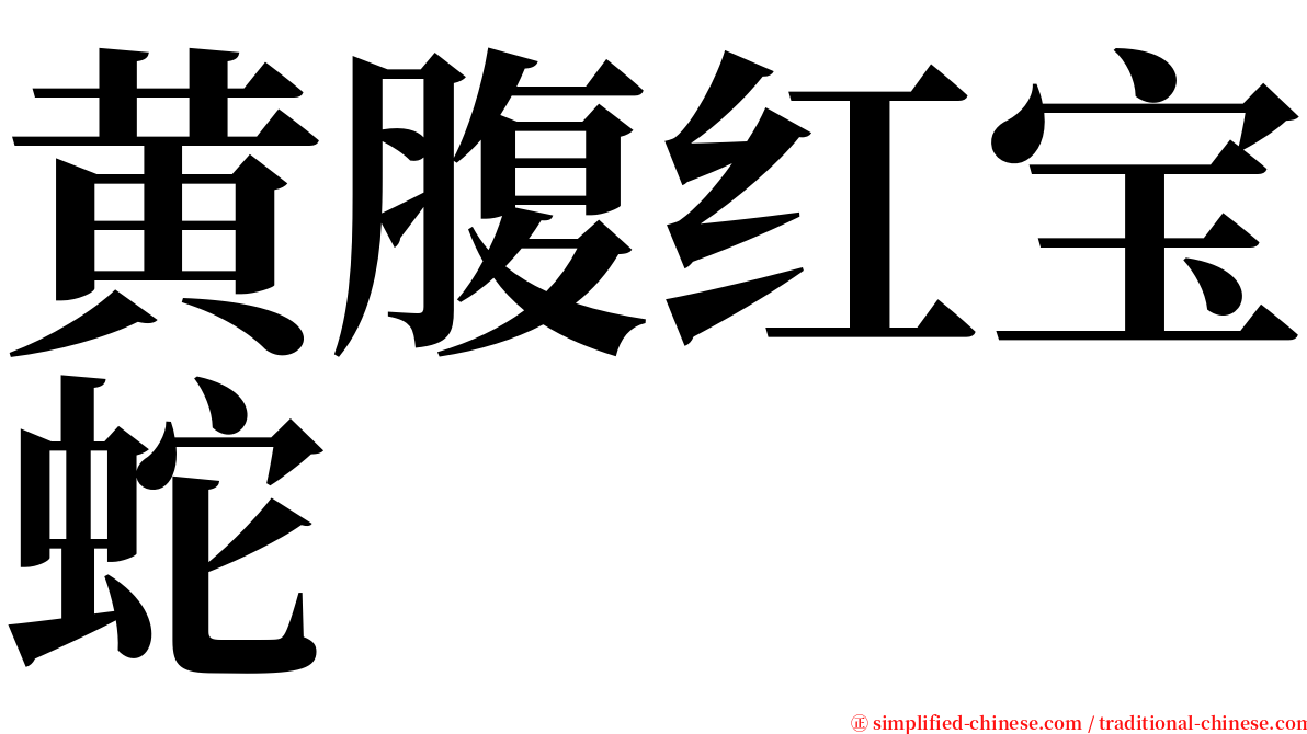 黄腹红宝蛇 serif font
