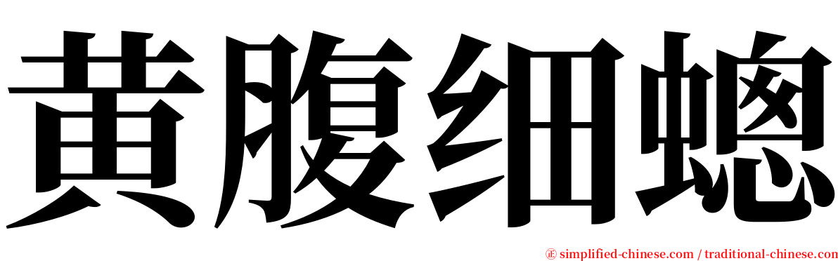 黄腹细蟌 serif font