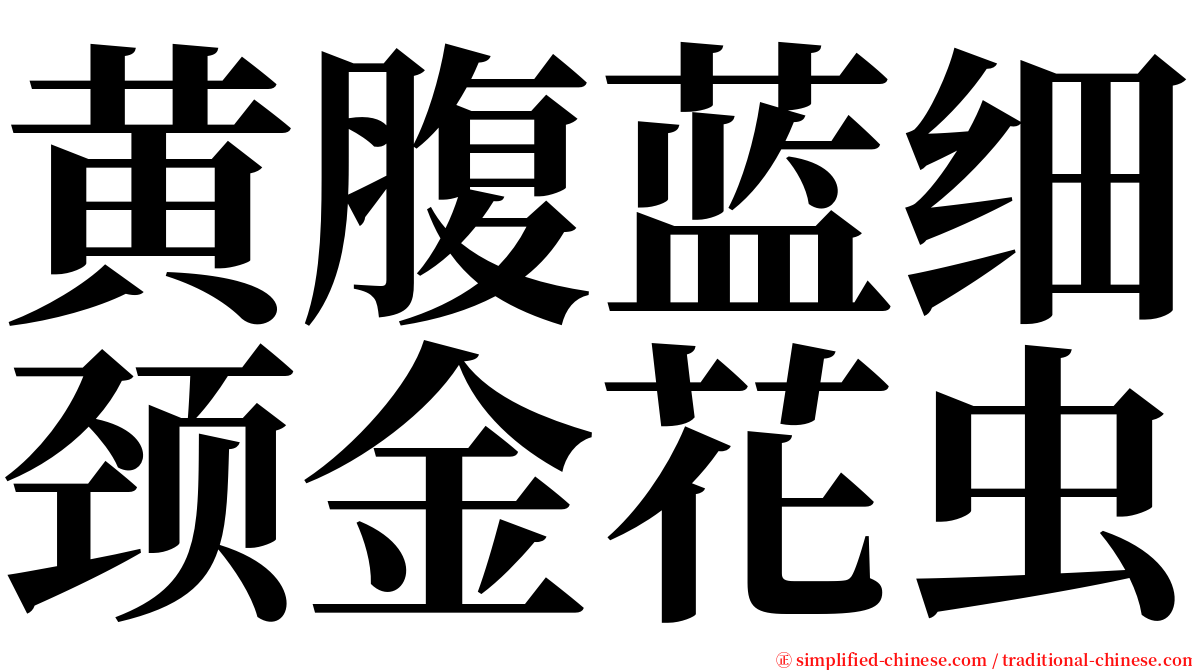 黄腹蓝细颈金花虫 serif font