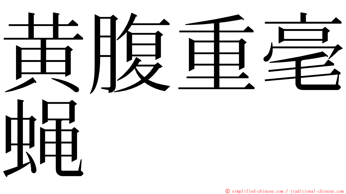 黄腹重毫蝇 ming font